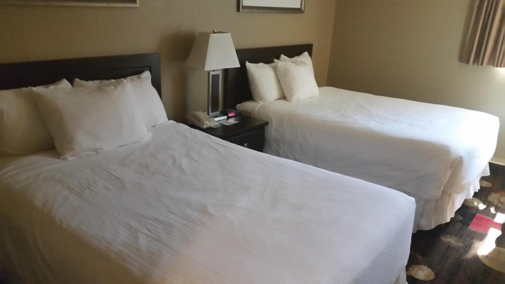 Stonebridge Hotel Fort Mcmurray Rom bilde